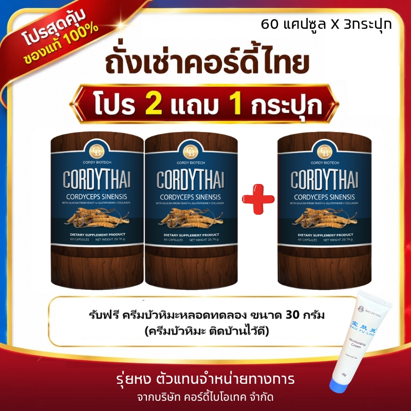 ถั่งเช่า cordythai โปร 2เเถม1 คอร์ดี้ไทย ม.เกษตร สามารถ คละสูตร ถั่งเช่าหญิง ถั่งเช่าชายได้