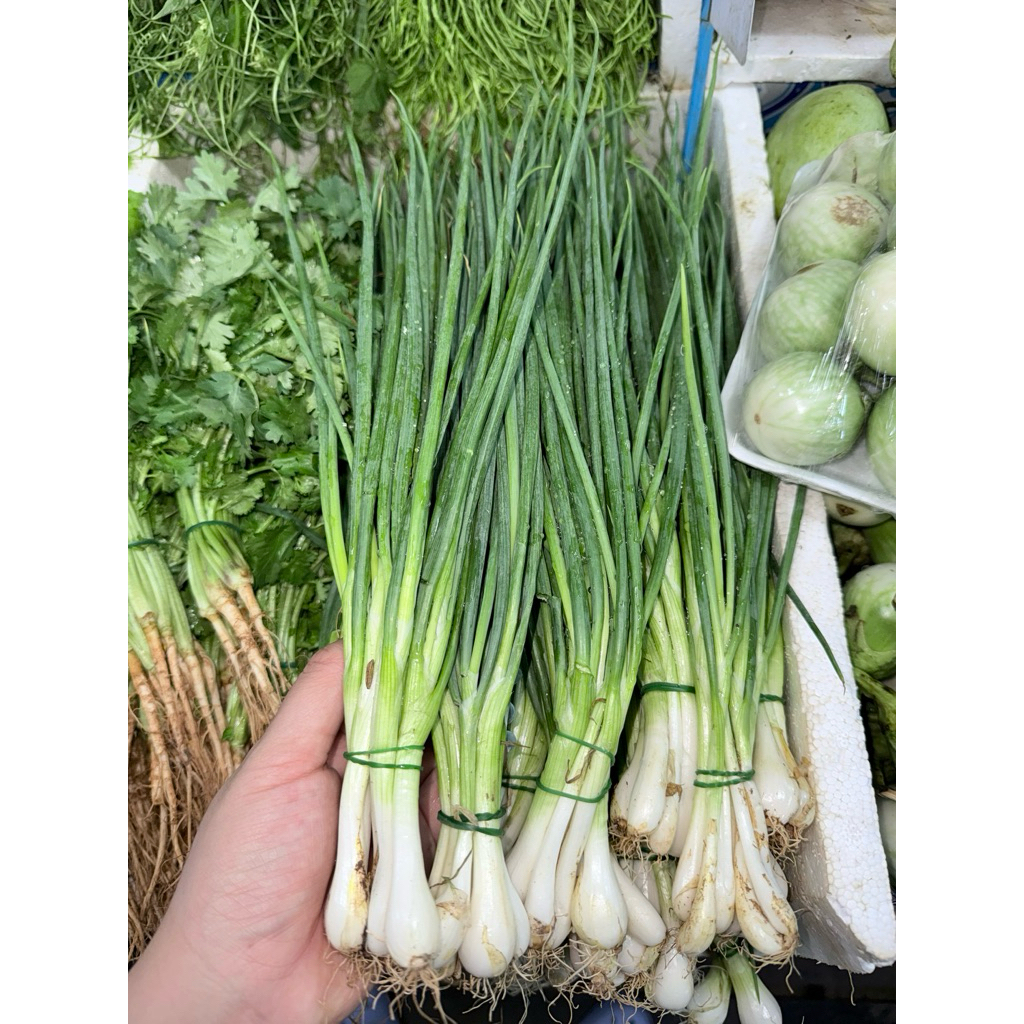 ต้นหอม 100 กรัมขนาด1มัด