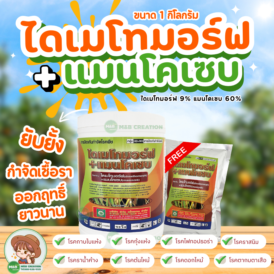 (แถมฟรี 1 ซอง)ไดเมโทมอร์ฟ+แมนโคเซบ สารกำจัดโรคพืช ยับยั้ง กำจัดเชื้อรา ออกฤทธิ์ยาวนาน ขนาด 1 กิโลกรัม