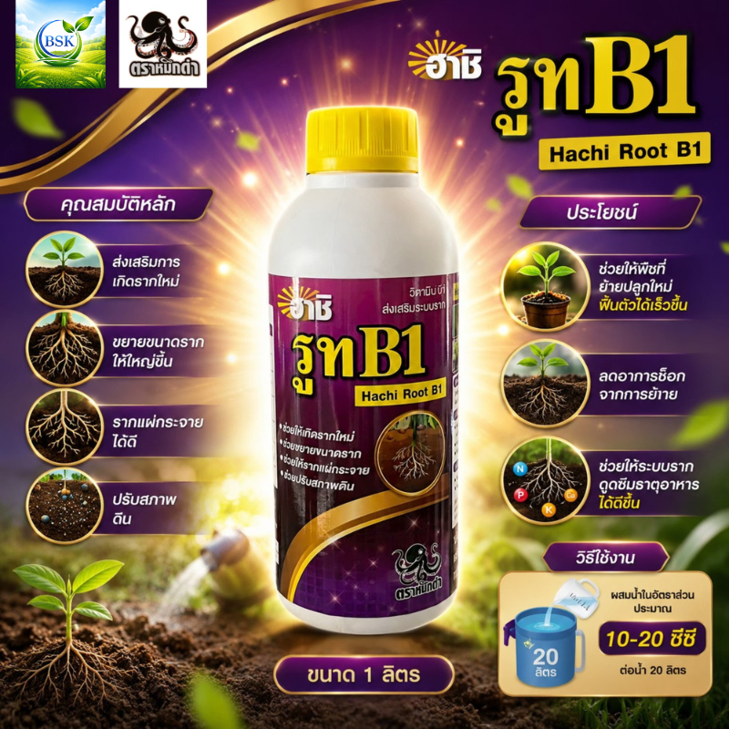 รูท B1  ( เร่งราก ) ขนาด 1 ลิตร (บ.ฮาชิ)