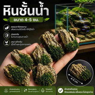 หินชั้นน้ำ (ติดมอสจริง) 🌲ขนาด4-5cm หินสวย