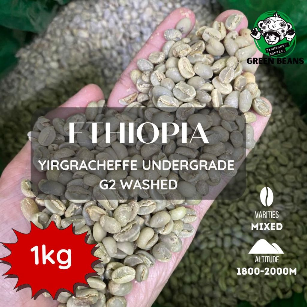 สารเมล็ดกาแฟ Ethiopia yirgracheffe undergrade washed ขนาด 1000g
