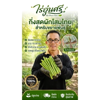 กิ่งละ 3 บาท! โสมไทยกิ่งสด พร้อมปักชำ ชุด 20 กิ่ง 50 บาท (แถมเพิ่มในตัว) จากไร่อุ่นศรี
