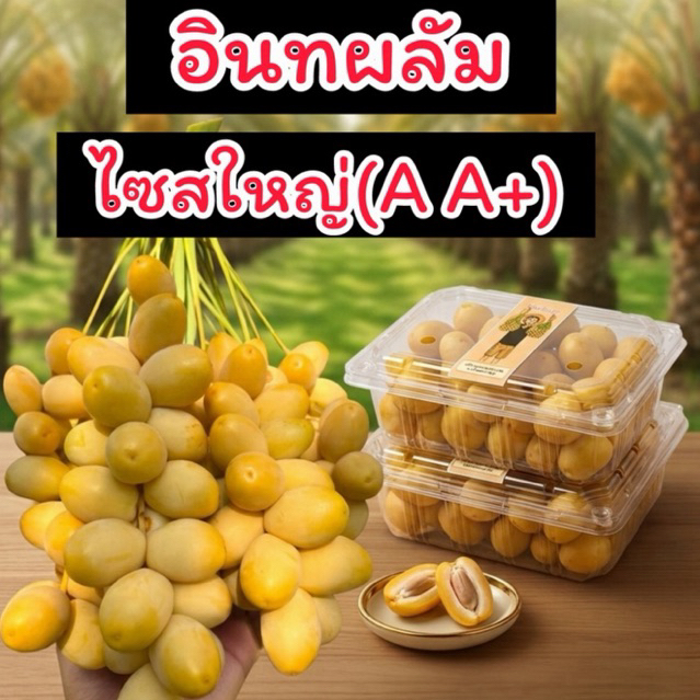 อินทผลัมบาฮีเหลือง ไซส์ใหญ่ 1 กิโล  (แพ็คกล่อง) A A+