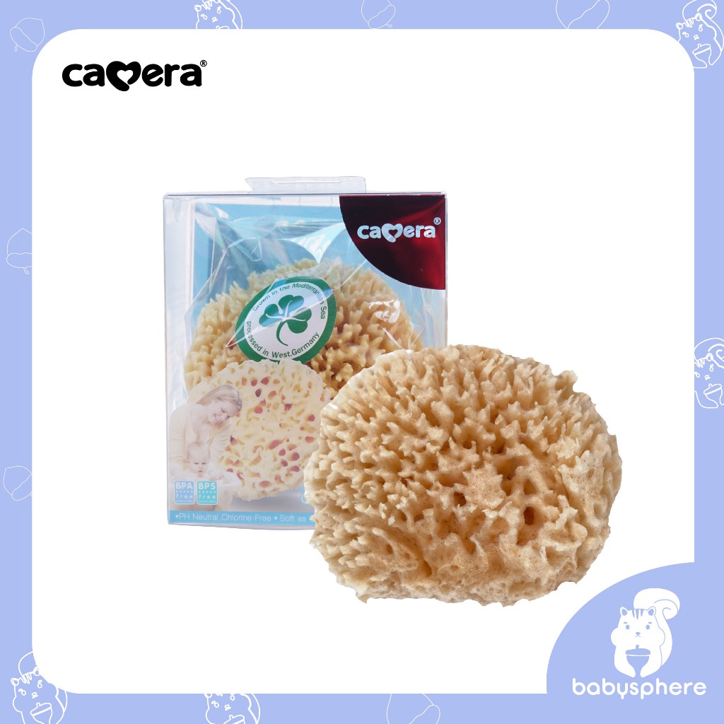 CAMERA | ฟองน้ำธรรมชาติ HONEYCOMB | ฟองนำ้เนื้อนุ่ม ละเอียด สำหรับอาบน้ำเด็ก นำเข้าจากเยอรมัน🇩🇪