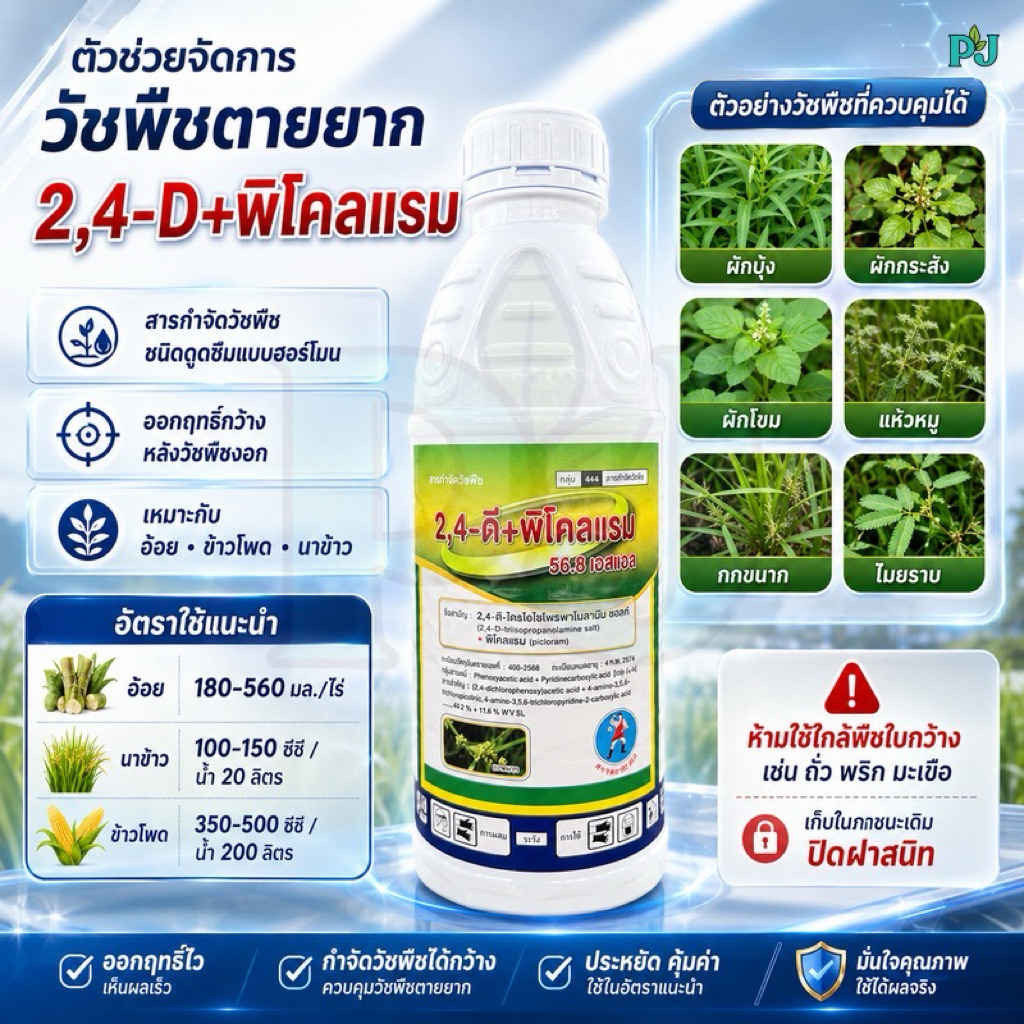 2,4-D + พิโคลแรม ตราเฮอร์คิวลิส สารกำจัดวัชพืชสูตรผสมประเภทดูดซึม ที่นิยมใช้ในการกำจัดวัชพืชใบกว้าง ขนาด 1 ลิตร