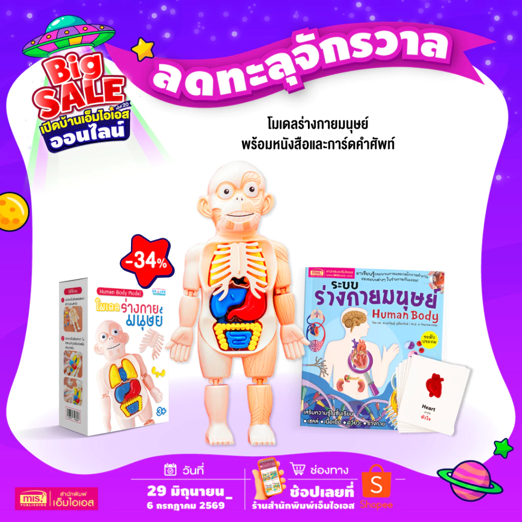 MISBOOK หนังสือระบบร่างกายมนุษย์ ระดับประถม พร้อมโมเดล Human Body และการ์ดคำศัพท์อังกฤษ-ไทย อวัยวะภายใน 11 ใบ