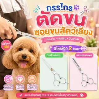 Boqi Factory กรรไกรตัดขน + กรรไกรซอยขนสัตว์เลี้ยง สแตนเลส สำหรับสุนัขและแมว มีให้เลือก 2 แบบ Scissors