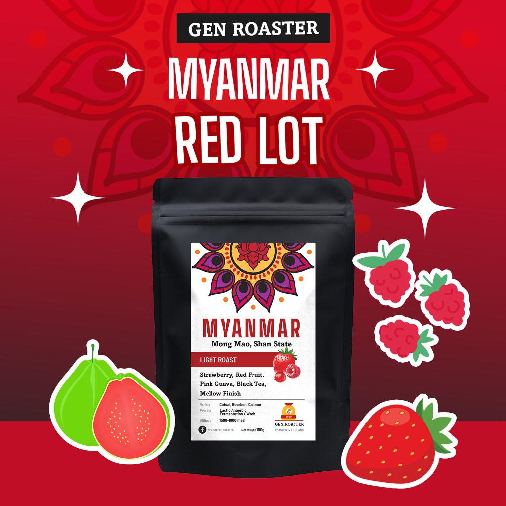 GEN Roaster เมล็ดกาแฟพิเศษ พม่า คั่วอ่อน Myanmar shanstate red lot red fruit โทนผลไม้สีแดง