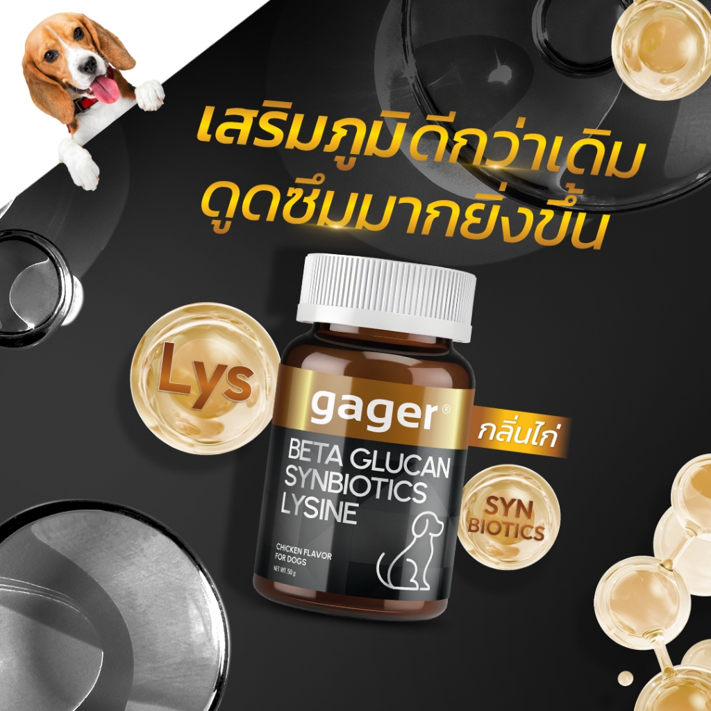 Gager (กาเจอร์) วิตามินหมา ผงเบต้ากลูแคน+ไลซีน+ซินไบโอติก 3in1 เสริมภูมิคุ้มกัน กลิ่นไก่ (มีตัวเลือก)