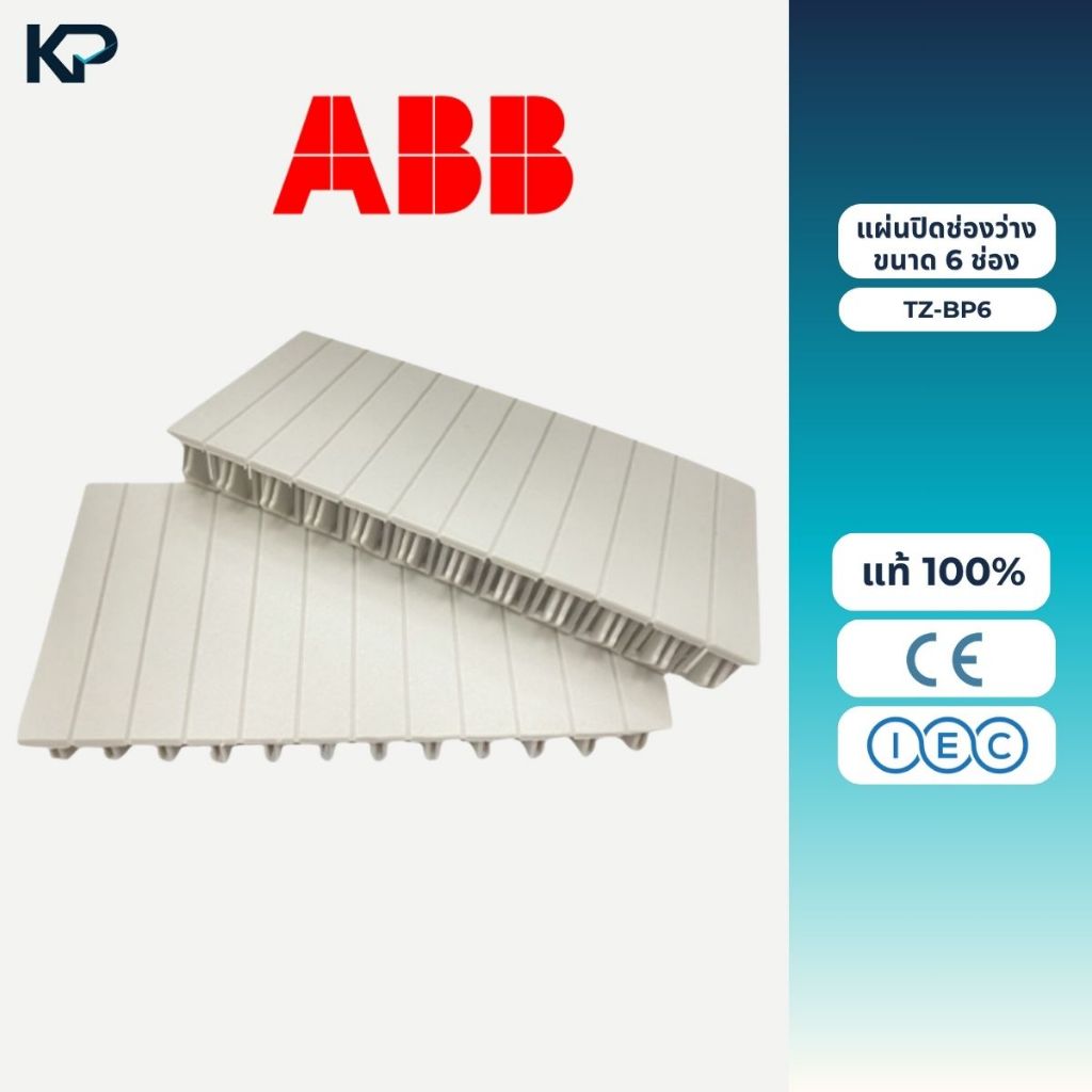 ABB แผ่นปิดช่องว่างขนาด 6 ช่อง รุ่น TZ-BP6 แผ่นปิดตู้ แผ่นปิดช่องว่าง ฝาอุด เกาะราง สำหรับ ตู้คอนซูม
