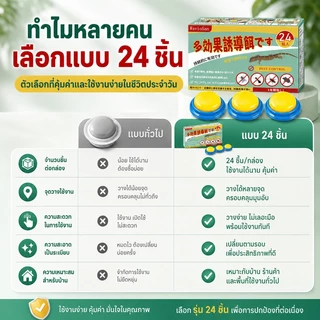 🪳กำจัดตัวและไข่🪳 IC รังยาฆ่าแมลงสาบ 24 ชิ้น/กล่อง ไล่แมลงสาบ กำจัดแมลงสาบยก เห็นผลไว สูตรเข้มข้น ช้งานง่าย