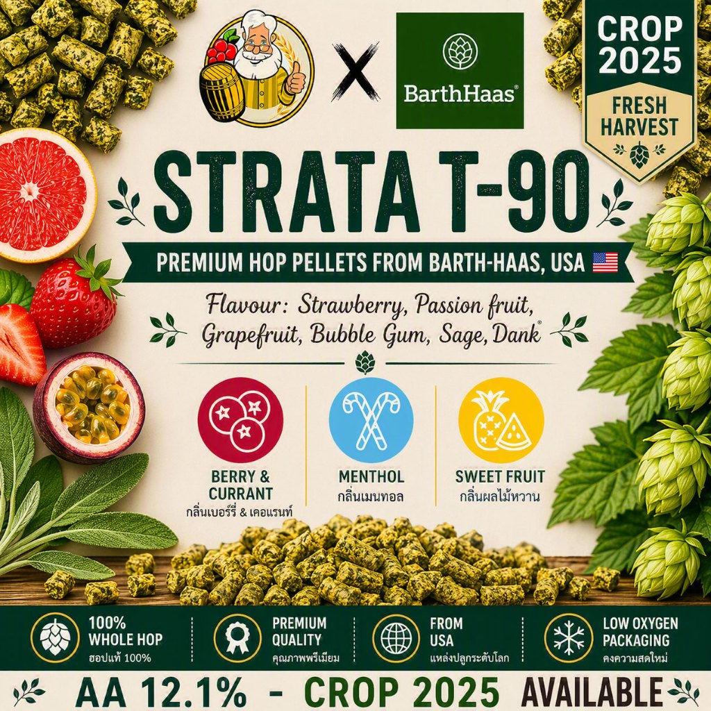 Strata Hops (US) PELLET HOPS (T90) Crop 2025 Beer Hops Hops เบียร์ฮอปส์ทำเบียร์ฮอปส์ Strata Hops ฮอปส์ฮอป