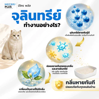 จุลินทรีย์ดับกลิ่นทรายแมว ผงดับกลิ่นทรายแมว ดับกลิ่นฉี่แมว บรรจุ 150 กรัม เหมาะสำหรับ ดับกลิ่นทรายแมว ดับกลิ่นฉี่แมว