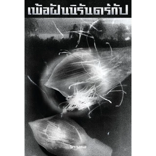 PICK A BOOK : (พร้อมส่ง-ขอบขาว) เพ้อฝันนิรันดร์กัป / จิตจงกล / (P.S.) Pandora Press
