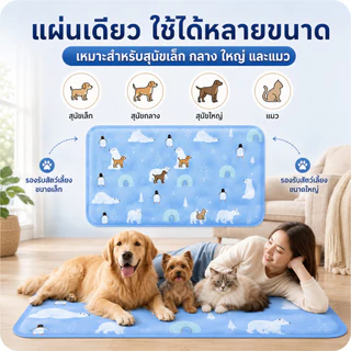 เสื่อเตียงระบายความเย็นสัตว์เลี้ยง PETWELL เจลเย็น ทำความสะอาดง่าย พกพาสะดวก ใช้ได้ทั้งในบ้านและกลางแจ้ง