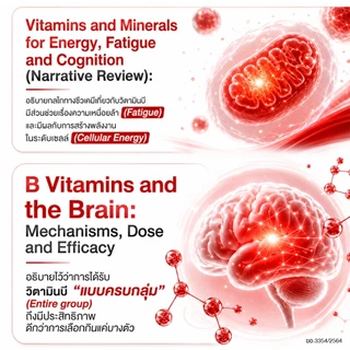 MaxxLife B-Complex Plus Bioflavonoid วิตามินบีรวม 8 ชนิด Choline 150 mg. Citrus Bioflavonoid 60 mg. ขนาด 30 แคปซูล