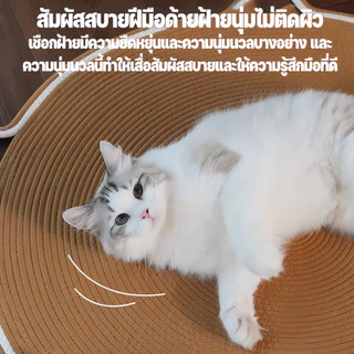 แมวแผ่นรองข่วนอเนกประสงค์ ทนทาน กันลับเล็บ พื้นผิวธรรมชาติ ไม่เป็นขุย ใช้ได้ทุกสายพันธุ์ มี 2 สี