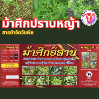 ✅ ม้าศึกอีสาน ปราบหญ้านาเกลี้ยง กำจัดโสนหิน โสนแดง ไมยราบ หญ้าเถาเลื้อย หญ้าใบแคบ ใบกว้าง กกต่างๆ ที่ดื้อยา