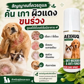 AEXHUQ สเปรย์สุนัข แมว ครบจบ เชื้อรา ขี้เรื้อน คัน ขนร่วง ผื่นแดง ต้านเชื้อรา แบคทีเรีย สูตรสัตว์เลี้ยง