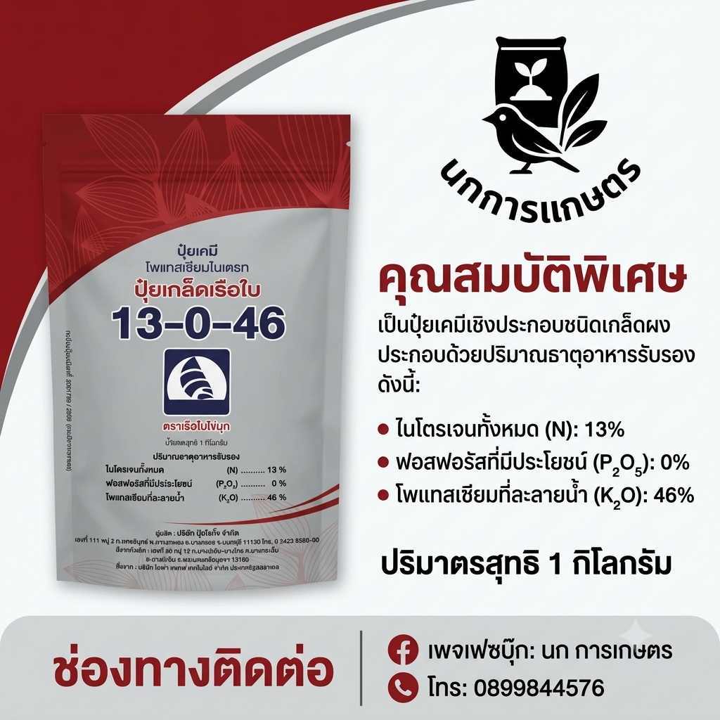 ปุ๋ยเกล็ด(โพแทสเซียมไนเตรท)เรือใบไข่มุก 13-0-46 ละลายน้ำดีดูดซึมเร็ว น้ำหนักสุทธิ 1 กิโกรัม