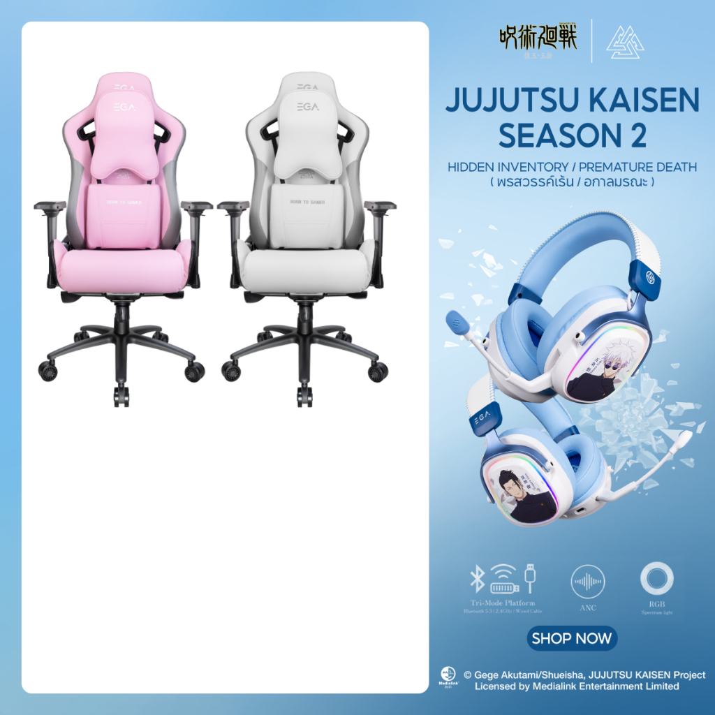 EGA เก้าอี้เกมมิ่ง เก้าอี้ทำงาน ดีไซน์สไตล์ Ergonomic ไซส์ใหญ่พิเศษสำหรับคนตัวใหญ่ TYPE G3 ขาเหล็ก แข็งแรง
