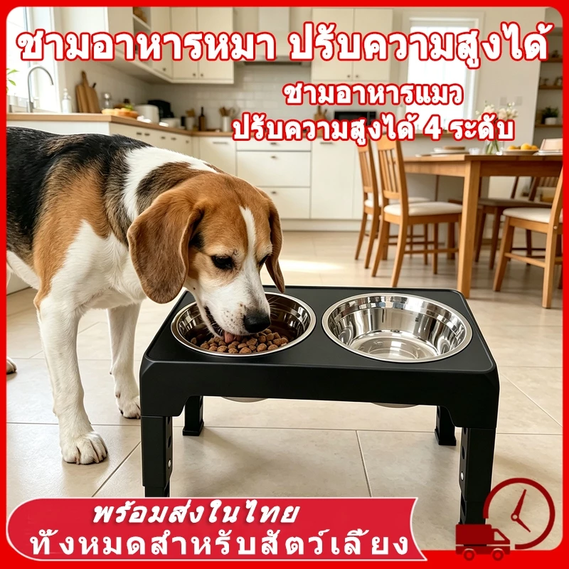 🍚 ชามอาหารหมา การปรับความเร็ว 4 ระดับ ถอดออกได้ แบบกันมด ชามอาหารแมว ชามสแตนเลส ชามอาหารสัตว์เลี้ยง 2 in 1 ฐานกันลื่น