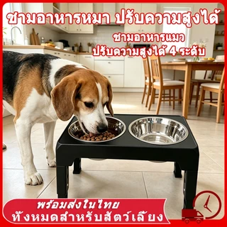 🍚 ชามอาหารหมา การปรับความเร็ว 4 ระดับ ถอดออกได้ แบบกันมด ชามอาหารแมว ชามสแตนเลส ชามอาหารสัตว์เลี้ยง 2 in 1 ฐานกันลื่น