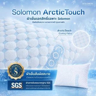 Solomon เซตหมอนหนุนเย็น 1 ใบ และหมอนข้างเย็น 1 ใบ หมอนสัมผัสเย็น ระบายอากาศดี