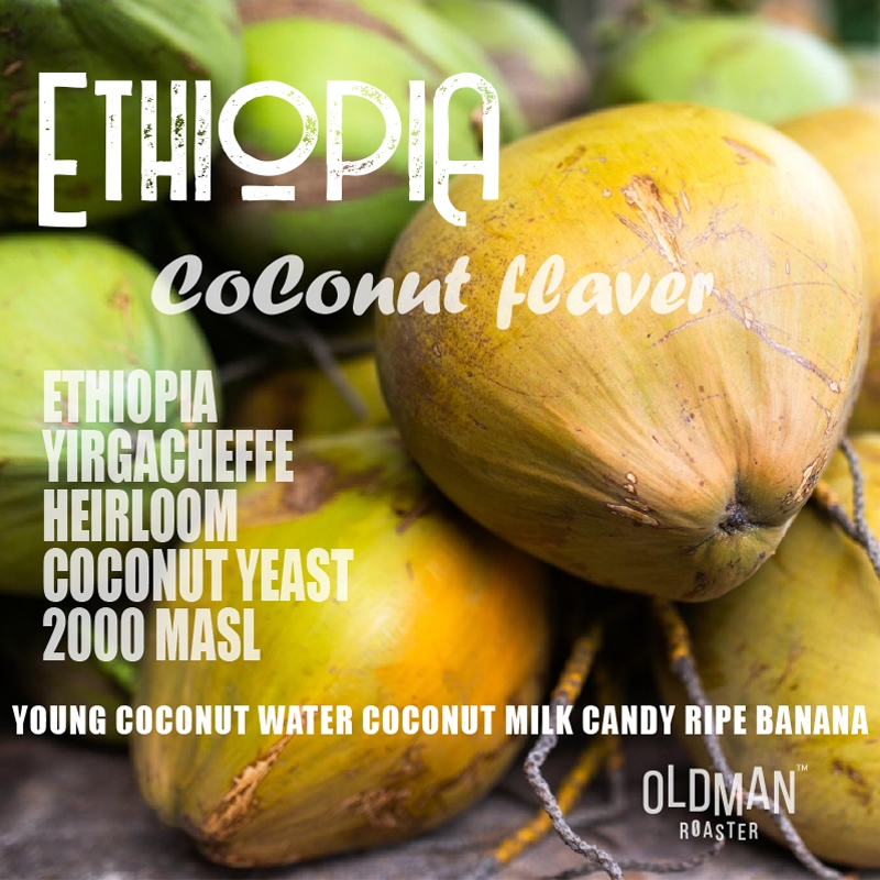 เมล็ดกาแฟ " ใครไม่นัด โคโคนัด " ETHIOPIA COCONUT FLAVER (คั่วอ่อน) LIGHT ROAST by OLDMAN ROASTER