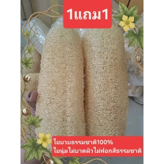 ใยบวบ ใยบวบขัดสปาผิวหน้า บวบขัดตัว ใยบวบจิ๋วงานฝีมือจากธรรมชาติแท้100%มีหลายขนาด