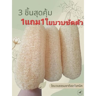 ใยบวบขัดผิว1แถม1โปรเด็ด ใยบวบขัดตัว ใยบวบธรรมชาติ(ใยบวบมีหลายตัวเลือก)