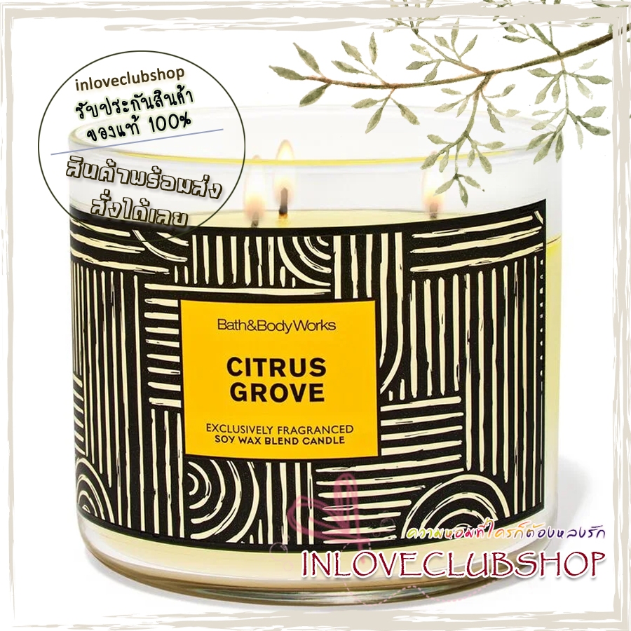 Bath & Body Works Slatkin & Co / Candle 14.5 oz. (Citrus Grove) *freshly picked orange, sparkling ci