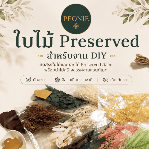 ใบไม้แห้ง Preserved สำหรับตกแต่ง / จัดช่อจิ๋ว / DIY
