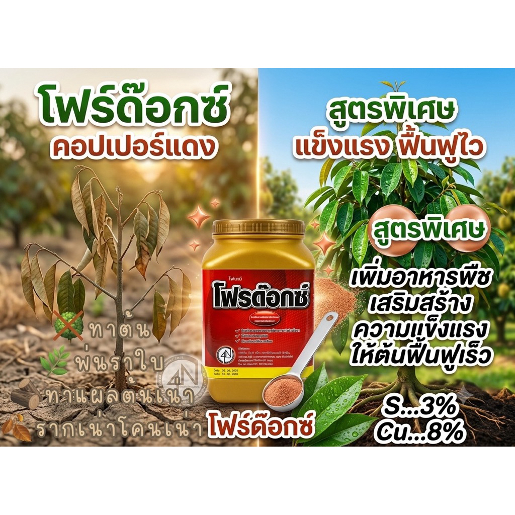 🔻โฟร์ด๊อกซ์🔻 คอปเปอร์แดงสูตรพิเศษผสม Silicon Amino Thiamine อนุสิทธิบัตรหนึ่งเดียว