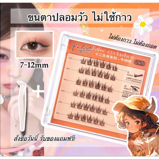 ขนตาปลอมไม่ต้องกาว ลาย12ราศี BQI/UWN ของแท้ สต็อกไทยพร้อมส่ง โปรซื้อ2แถม1