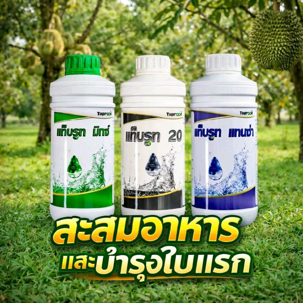 ชุดสะสมอาหารใบแรก และช่วยบำรุงใบ มิกซ์+แทนซ่า+*20
