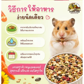 My Cute อาหารแฮมสเตอร์ ขนาด 400 กรัม 🐹🌾