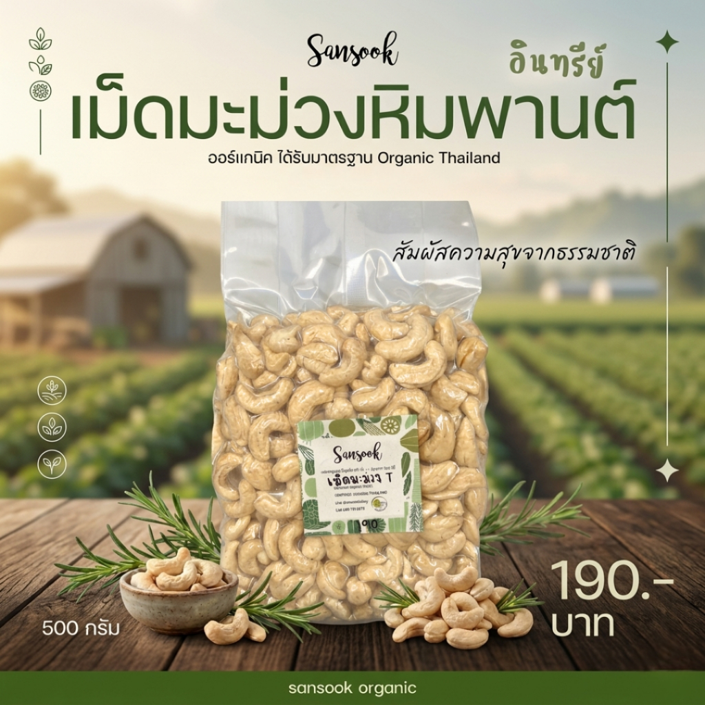 เม็ดมะม่วงหิมพานต์ อินทรีย์เต็มเมล็ด (ดิบ) คัดพิเศษเกรด A สด ใหม่ คุณภาพดี 500 กรัม