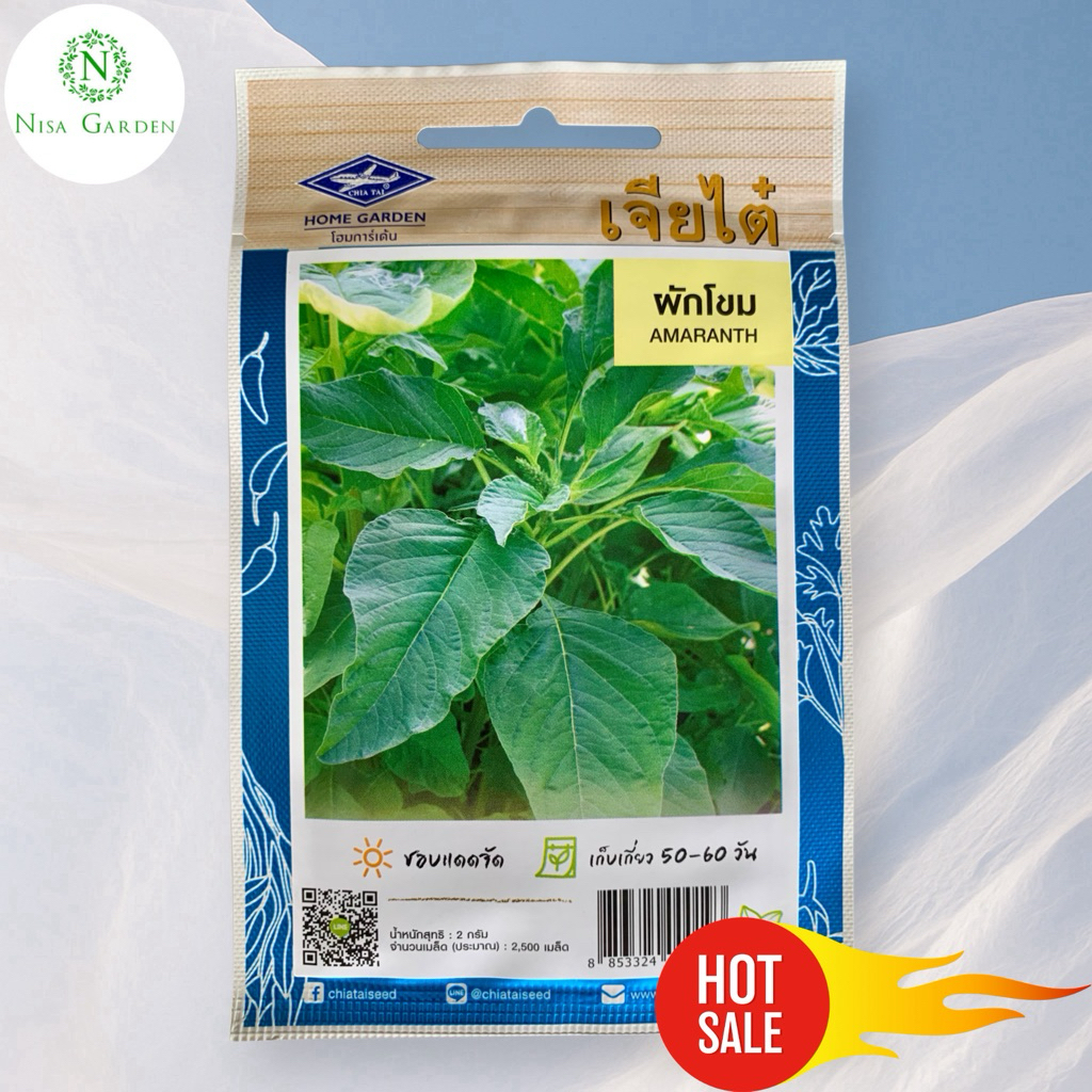 Nisa Garden เมล็ดพันธุ์ ผักโขม อบชีส โขมเขียว โขมแดง งอกง่าย โตเร็ว