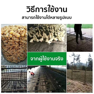 ตาข่ายล้อมไก่ HDPE ตาข่ายพลาสติก รู 2ซม./3.5ซม. สูง 1ม./1.2ม. ยาว 10/25/50ม. กันนก รั้วสวน