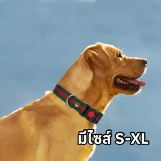 (D1)ปลอกคอหมา ตัวล็อก 2 ชั้น สายนิ่ม ไม่บาดคอ