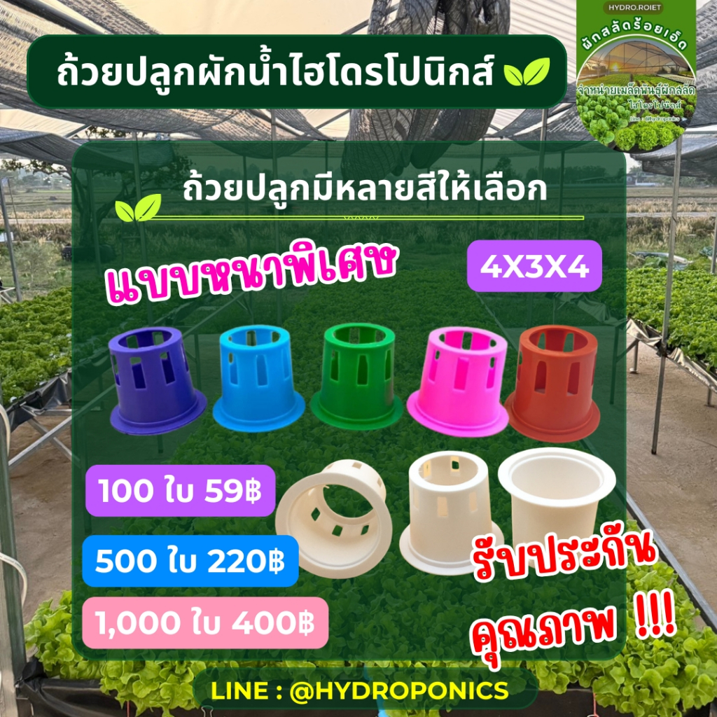 ถ้วยปลูกผัก แบบหนาพิเศษ ใช้ได้หลายปี ถูกมาก สุดคุ้ม