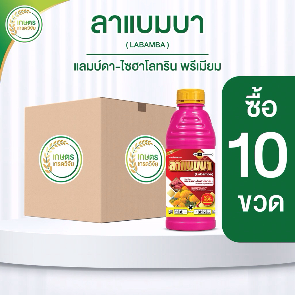ลาแบมบา ตราม้าทองเศรษฐี**ยกลัง10ขวด** (แลมบ์ดาไซฮาโลทรินพรีเมียม) น็อคสูตรเย็นพ่นได้ทุกระยะ ขนาด1 ลิตรใช้ได้15 ไร่