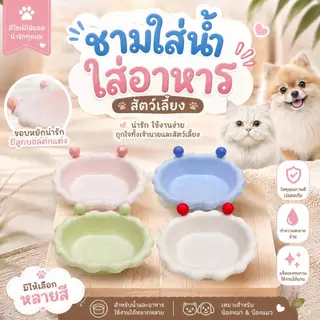 Boqi Factory ชามใส่อาหาร ชามอาหารสัตว์เลี้ยง ชามอาหารแมว ชามสุนัขชามแมว ชามใส่อาหาร ชามใส่น้ำ Cutebowl