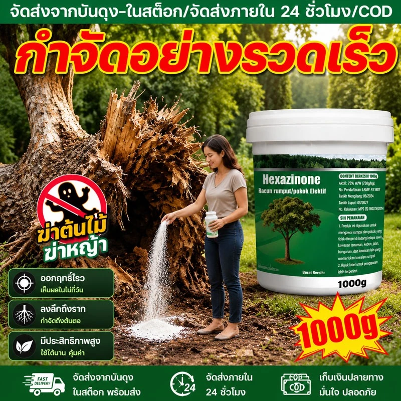 🌲100% รากไม้เน่า🌲ยาฆ่าต้นไม้ใหญ เข้มข้นสุด 500g ตรงไปที่ราก ยาฆ่าตอไม้ใหญ่บอ ยาฆ่าตอต้นไม้ ยาฆ่าหญ้า
