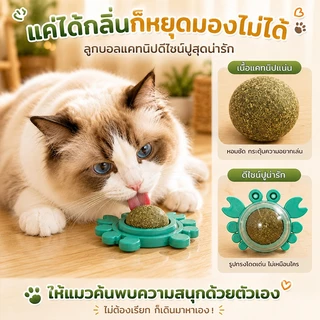 แคทนิปบอล กัญชาแมว หญ้าแมว แคทนิป กันชาแมว แคทนิป แมว กัญชาเเมว แคทนิปแมว catnip แมว ติดกำแพง