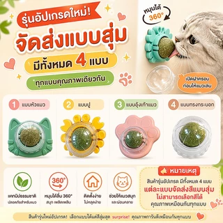 แคทนิปบอล กัญชาแมว หญ้าแมว แคทนิป กันชาแมว แคทนิป แมว กัญชาเเมว แคทนิปแมว catnip แมว ติดกำแพง