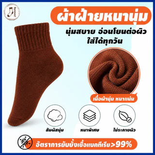 ถุงเท้านักเรียน สีน้ำตาล ถุงเท้าสีพื้น ผ้าฝ้ายนุ่ม ระบายอากาศดี ลดกลิ่นอับ 6/12/24 คู่ ใส่สบาย