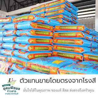 "ส้มโอ" ข้าวหอมมะลิกลางปีแท้100% สุรินทร์ เกรดส่งออก หอม อร่อย นุ่มนวล 15 กก. ของแท้ตัวแทนขายโรงสี